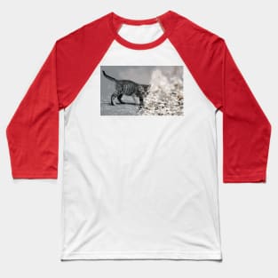 New Finition - Cat  " Zazou "  5  (  (c)(t) by Olao-Olavia / Okaio Créations 300mm  f.2.8 canon eos 5  1989 Baseball T-Shirt